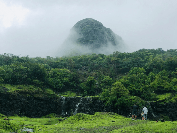 Group of people hiking in a lush green forest with mountains in the background, possibly near Tamhini Ghat, Pune, Maharashtra, India.