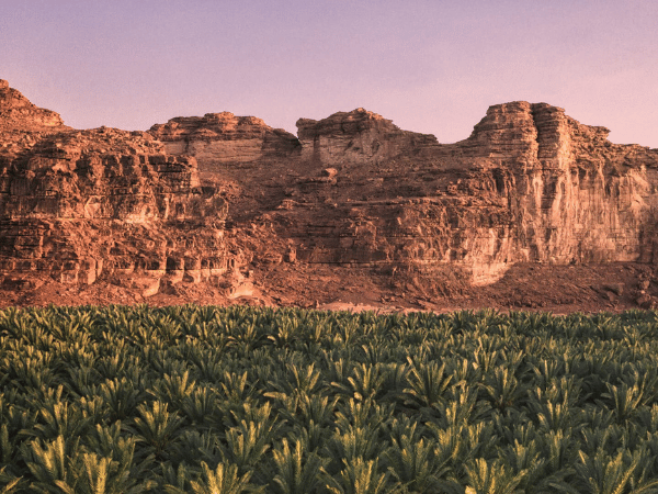 A breathtaking view of a palm oasis nestled between towering rock formations in AlUla, Saudi Arabia