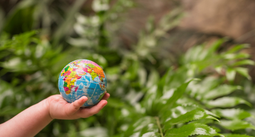 WHY SUSTAINABILITY MATTERS