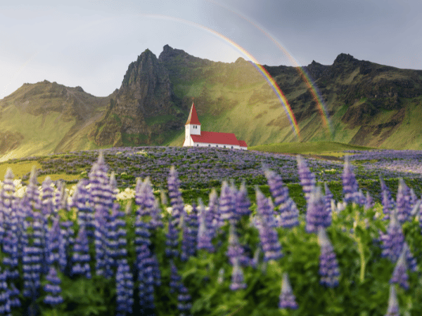 The iconic church overlooking the town of Vik, a key location for incentive travel planned by a DMC in Iceland.