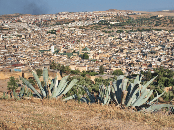 A scenic panoramic view of the ancient city of Fes, showcasing a key destination for a DMC in Morocco.