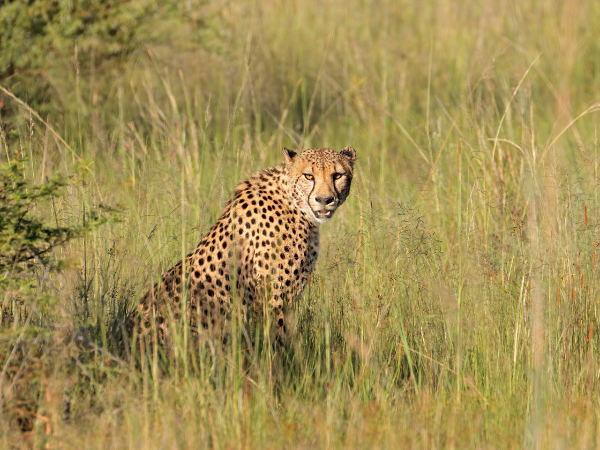 Namibia-Gallery