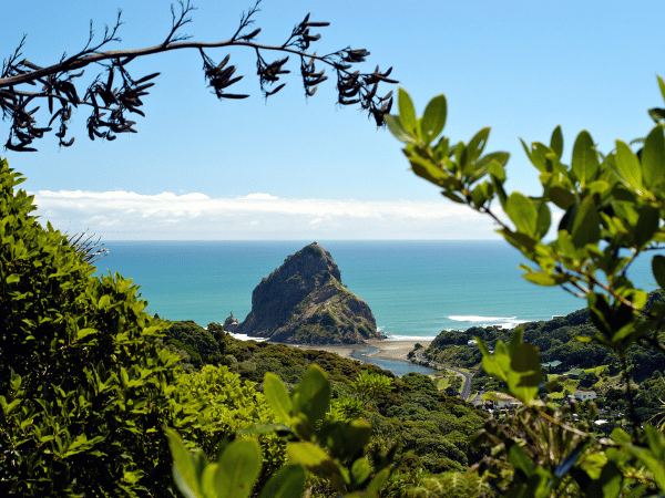 Piha Beach, Auckland_ Scenic view of Piha Beach, Auckland, framed by lush green foliage with a prominent rock formation rising from the shoreline against the clear blue ocean