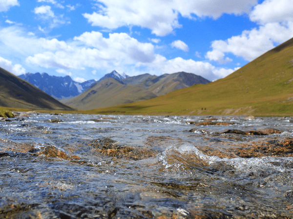 Panoramic view of Kyrgyzstan's Issyk-Kul Lake with snow-capped mountains in the distance.